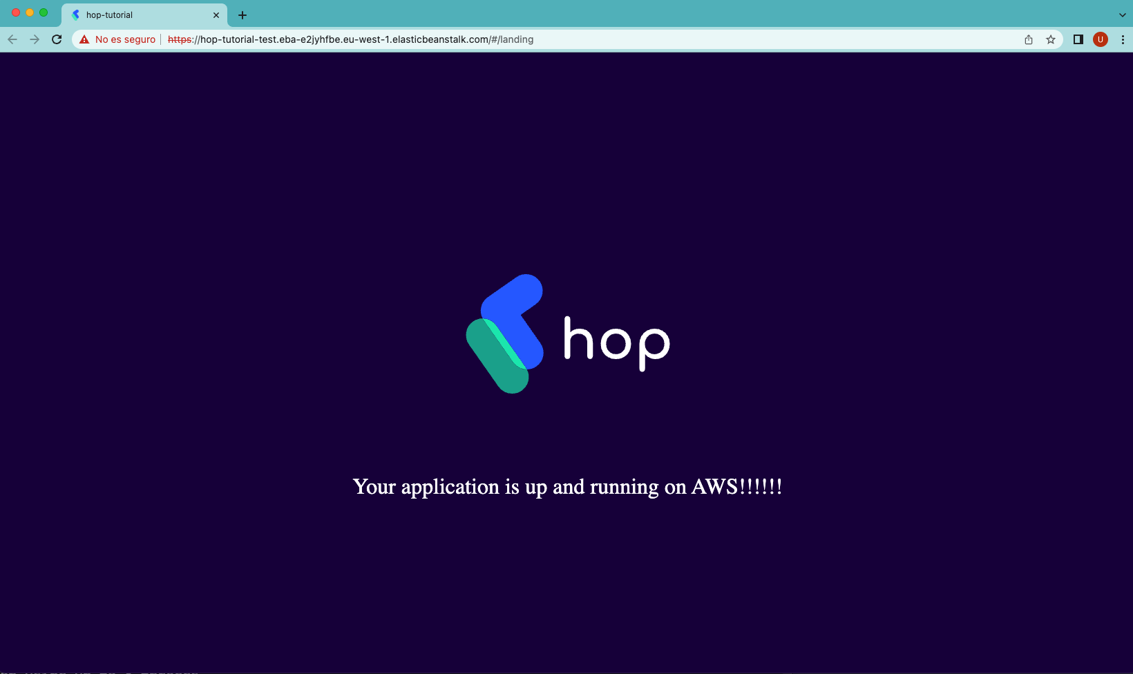 ../../_images/aws-running-hop-app.png